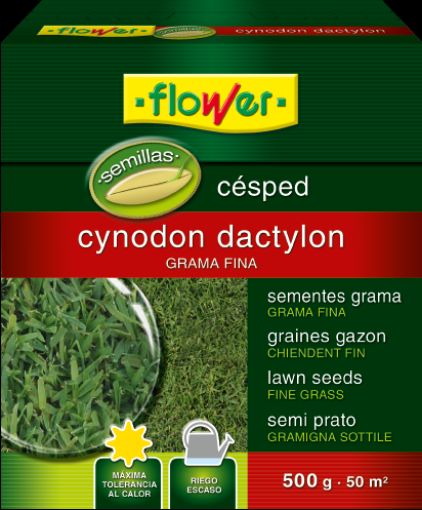 Imagen de Semillas Cesped Cynodon Dactylon 500Gr 1-10796