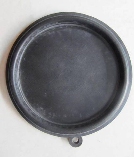 Imagen de Recambio Membrana Lisa Junkers