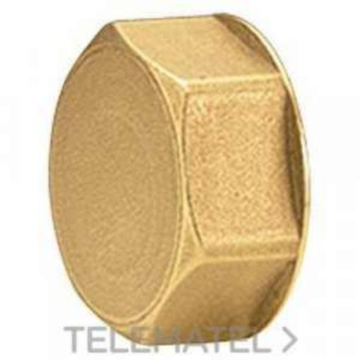 Imagen de Tapa Hembra Base 16 