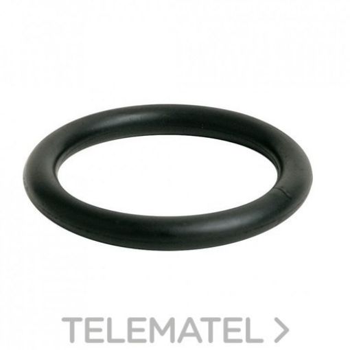 Imagen de Repuesto junta torica 25 