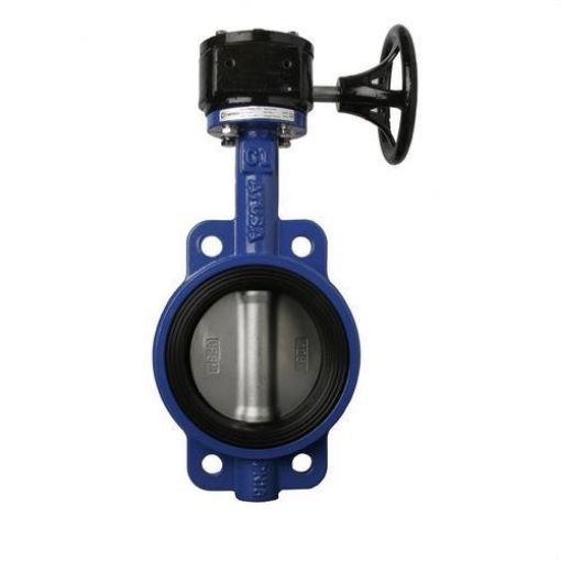 Imagen de Valvula Mariposa V Reductor Inoxidable 