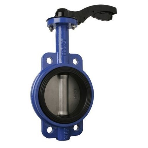 Imagen de Valvula Mariposa 125 Disco Inoxidable Junta Nbr 