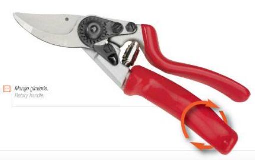 Imagen de Tijera Poda 