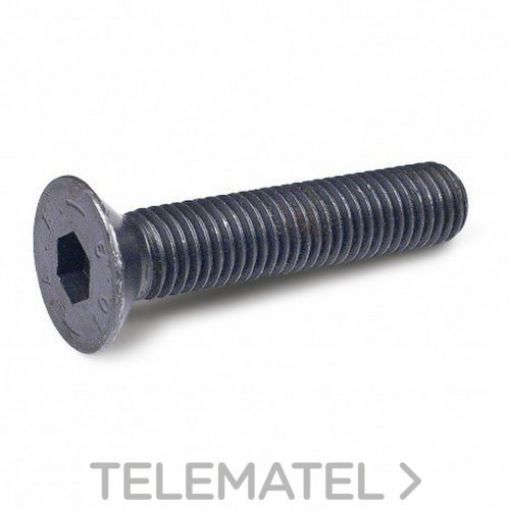 Imagen de Tornillo Avellanado 7991 12x50 