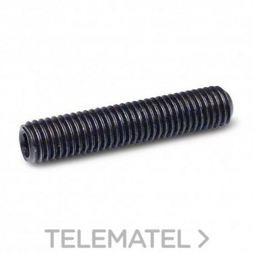 Imagen de Esparrago 916-45H 12x20 