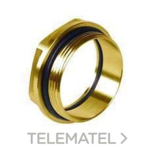 Imagen de Tuerca Oyster Y8243G Laton 15x1 2