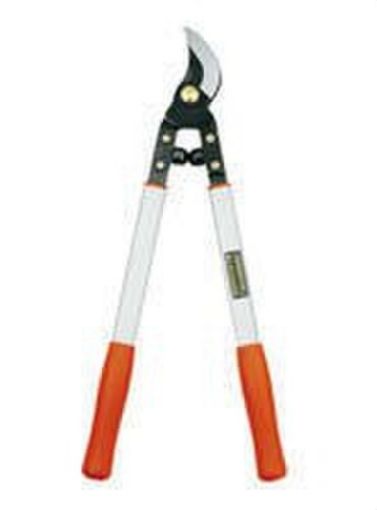 Imagen de Tijera Podar 