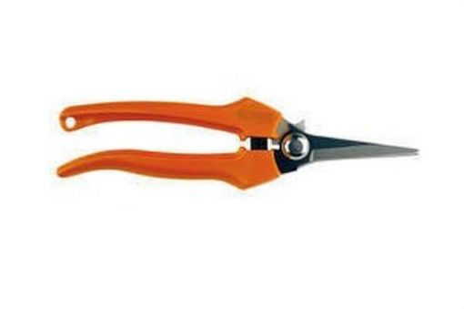 Imagen de Tijera Vendimia 