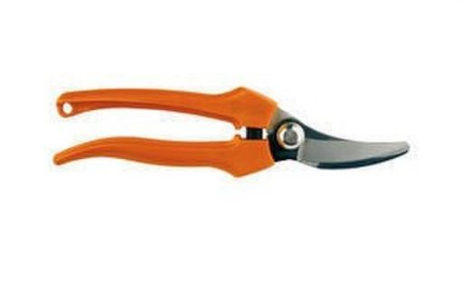 Imagen de Tijera Vendimia 