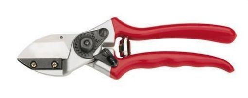 Imagen de Tijera Jardin 1 Mano Yunque 