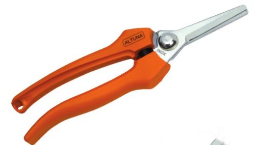 Imagen de Tijera Vendimia Y Recolección Inoxidable 