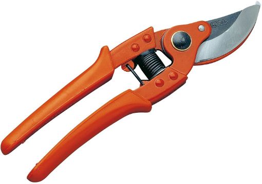 Imagen de Tijeras Mod. Hoja Intercambiable