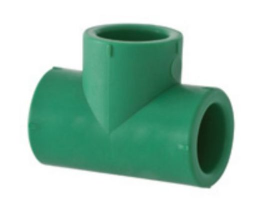 Imagen de Te Lisa Hembra PP-R 110 