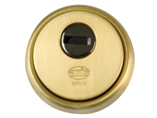 Imagen de Escudo 31 Latón Mate