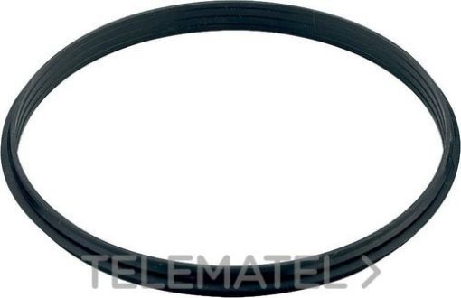 Imagen de Junta Silicona 300