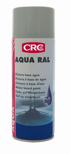 Imagen de Aqua Ral 9006 Plata 400Ml