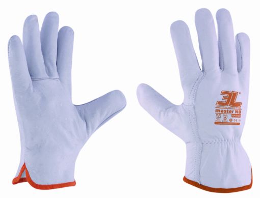 Imagen de Guante Master Nb Gp-016B T10 3L