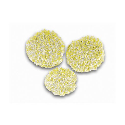 Imagen de CEPILLO ESPONJA SUELOS DUROS 2863198 KARCHER