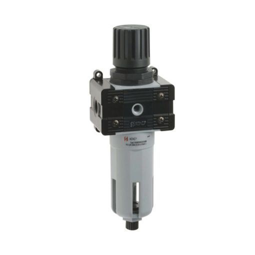 Imagen de Filtro Regulador T030 Fr2 1/2 T030205231000