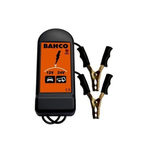 Imagen de Protector De Picos 12/24V