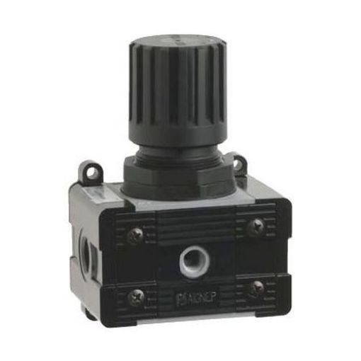 Imagen de Regulador 1/2 0-12 Bar T020205040000