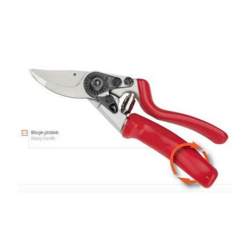 Imagen de Tijera Poda 