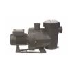 Imagen de Bomba Victoria Plus 2Cv 65567 Trifasica Astral