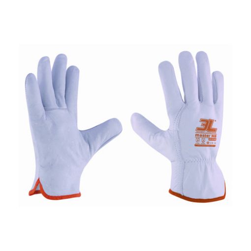 Imagen de Guante Master Nb Gp-016B T10 3L