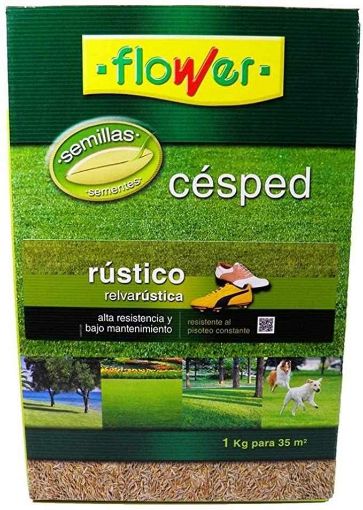 Imagen de Semillas Cesped Rustica 1 Kg (Caja) 10788 Flower