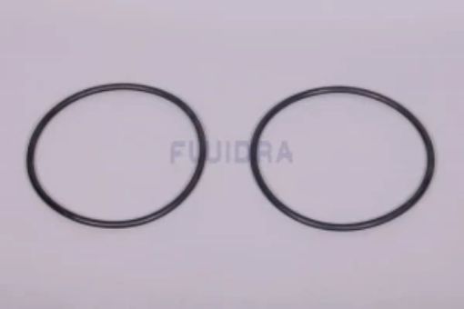Imagen de Junta Tapa Abonadora 120 Lts. 4404160001