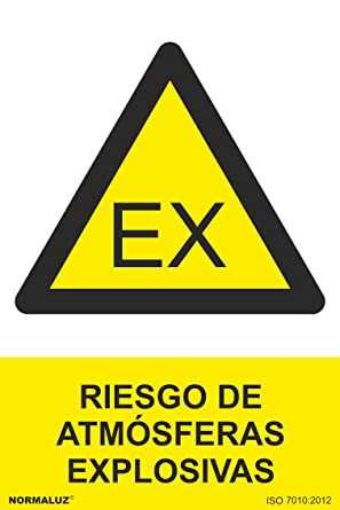 Imagen de Señal Peligro Atmosferas Explosivas Rd31027