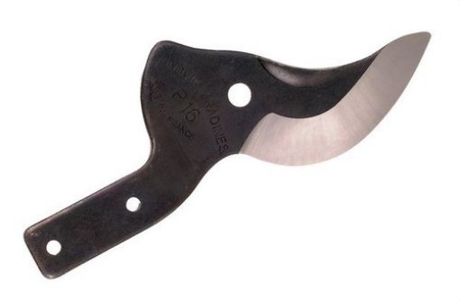 Imagen de Hoja P160